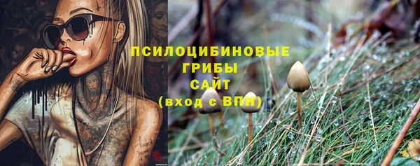 гашиш Богородск