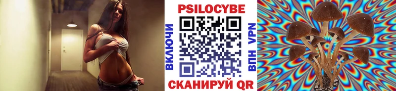 что такое наркотик Кольчугино Псилоцибиновые грибы Cubensis